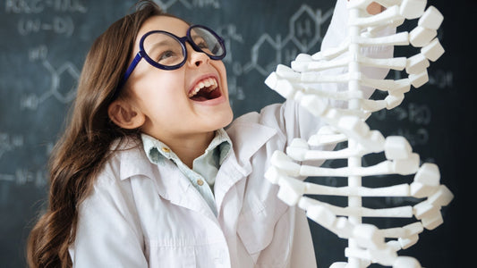Child exploring DNA model in science class, symbolising research into genetics and ADHD inheritance in children
